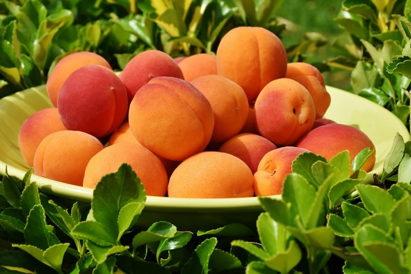 Healthy food bowl
